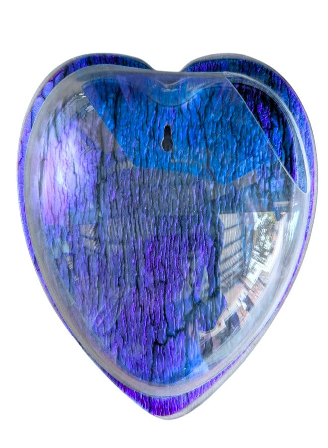 حوض سمك أزرق على شكل قلب، يُعلق على الحائط، مقاس 12 بوصة - بدون قاعدة | حوض أسماك عصري للمنزل والمكتب والمقهى | تصميم موفر للمساحة | حوض سمك أنيق وحوض نباتات | تصميم صغير الحجم - Image 1